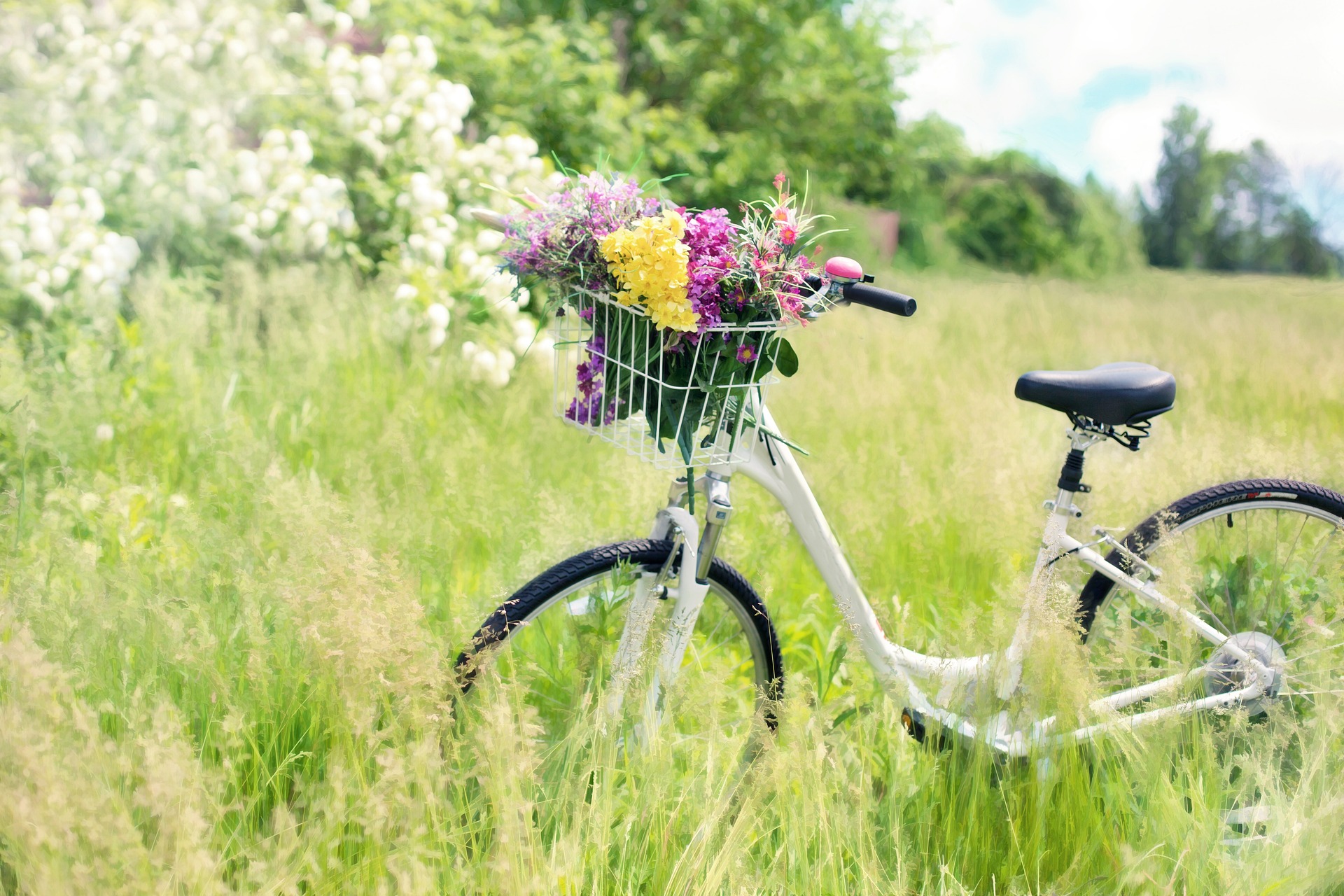 自転車